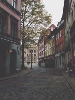 /album/rose/tumblr-n4lotldn3l1rvs57po1-500-jpg/