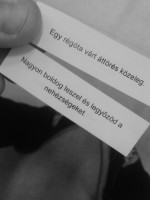 /album/rose/tumblr-n5rgv8rhf51tq5b0wo1-500-jpg/