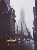 /album/rose/tumblr-n7besfb0zy1raodjgo1-500-jpg/